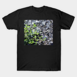 Clover and Glass T-Shirt